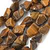 Raw Rough Natural Tiger Eye Beads Strands G-M453-D10-2