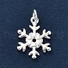 925 Sterling Silver Pendants FIND-Z069-04S-B-2