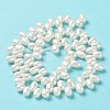 Natural Cultured Freshwater Pearl Beads Strands PEAR-J007-65-3