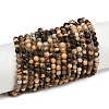 Natural Zebra Jasper Beads Strands G-F792-C13-07-2