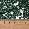 Spray Painted Glass Seed Beads SEED-F005-10A-01-4