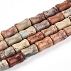 Natural Aqua Terra Jasper Beads Strands G-T140-93-4