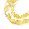 Natural White Shell Beads Strands SHEL-N036-21H-3