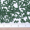 MIYUKI Round Rocailles Beads SEED-X0054-RR2048-4
