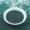MIYUKI Round Rocailles Beads SEED-X0054-RR0030-1