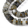 Natural Labradorite Beads Strands G-T140-34-3
