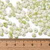 Baking Paint Glass Seed Beads X1-SEED-F006-01A-07-4