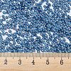 MIYUKI Round Rocailles Beads X-SEED-G007-RR1025-4