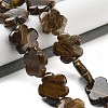 Natural Tiger Eye Beads Strands G-F769-H01-02-2