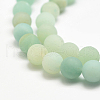 Natural Amazonite Bead Strands X-G-G684-03-10mm-3