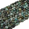 Natural African Turquoise(Jasper) Beads Strands G-Q060-E14-2