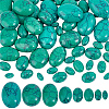   66Pcs 8 Styles Dyed Synthetic Turquoise Cabochons G-PH0002-67-1
