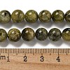 Natural Green Tourmaline Beads Strands G-B099-C05-04-5
