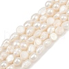 Natural Cultured Freshwater Pearl Beads Strands PEAR-P064-20J-02A-2