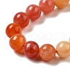 Dyed Natural Malaysia Jade Beads Strands G-G021-02B-21-2