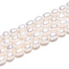 Natural Cultured Freshwater Pearl Beads Strands PEAR-N012-07Y-01-5