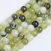 Natural Qinghua Jade Beads Strands G-G818-01-6mm-5