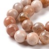 Round Natural Multi-Moonstone Beads Strands X1-G-I176-09-8mm-3