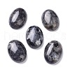 Natural Black Larvikite Cabochons G-Z020-10-1