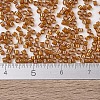 MIYUKI Delica Beads SEED-J020-DB1734-4