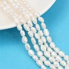 Natural Cultured Freshwater Pearl Beads Strands PEAR-P064-20H-06A-1