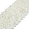 Natural Quartz Crystal Beads Strands G-P573-B09-01-3