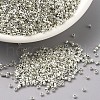MIYUKI Delica Beads SEED-J020-DB0035-1