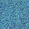 MIYUKI Round Rocailles Beads X-SEED-G007-RR2429-3