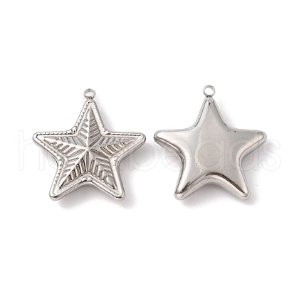 Non-Tarnish 304 Stainless Steel Pendants STAS-C073-03P-1