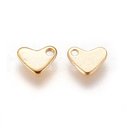 304 Stainless Steel Charms STAS-E460-08G-1