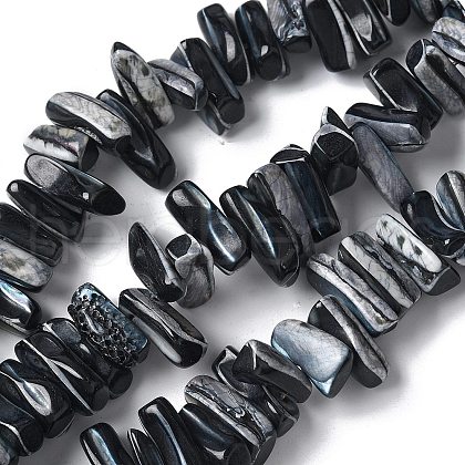 Dyed Natural Trochus Shell Beads Strands SSHEL-C013-09A-1