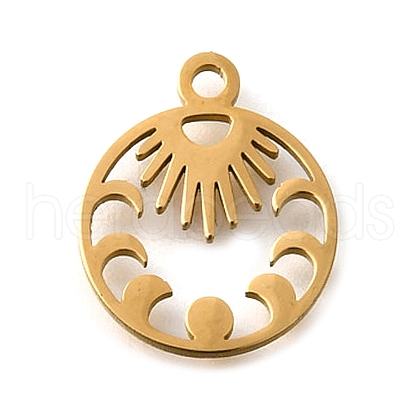 304 Stainless Steel Charms STAS-S178-01G-1