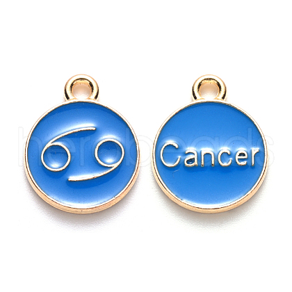 Alloy Enamel Pendants X-ENAM-S124-01A-02D-1