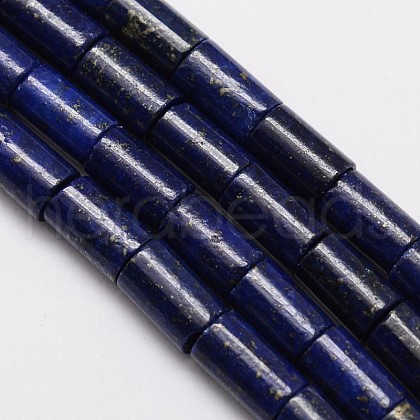 Natural Lapis Lazuli Column Bead Strands G-M264-14-1