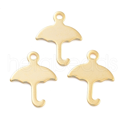 201 Stainless Steel Charms STAS-U012-02G-1