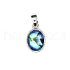 Natural Abalone Shell Charms PW-WG4179D-02-1