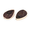 Dyed Natural Freshwater Shell Beads SHEL-T020-23-2