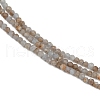 Natural Ang Beads Strands G-RM2025-B36-2mm-4
