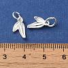 Long-Lasting Plated Brass Charms KK-K381-08S-3