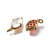 Brass Charms X1-KK-Q043-06G-2
