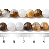 Natural Blue Chalcedony Beads Strands G-C179-A47-03-5