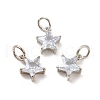 Rack Plating Brass Clear Cubic Zirconia Pendants KK-E081-03P-2