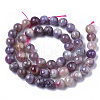 Natural Purple Red Tourmaline  Beads Strands G-N327-02A-01-3