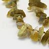 Natural Labradorite Beads Strands G-K202-11A-3