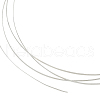 BENECREAT 1Pc Flat 999 Fine Silver Wires STER-BC0002-26-1