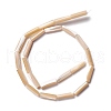 Natural Trochid Shell/Trochus Shell Beads SSHEL-O001-26A-1