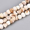 Natural Freshwater Shell Beads Strands SHEL-T020-17-1