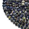 Natural Sodalite Beads Strands G-P573-A46-01-3