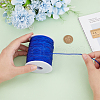   1 Roll 100 Yards Round Nylon Braided Thread NWIR-PH0002-22E-3