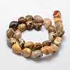 Natural Crazy Lace Agate Nuggets Bead Strands G-L288-12-2